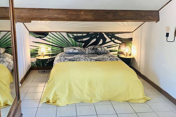 Gîte pour 9 personnes, avec jardin à Tarascon-sur-Ariège - 4