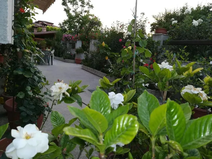 Bed and breakfast per 2 persone - 1