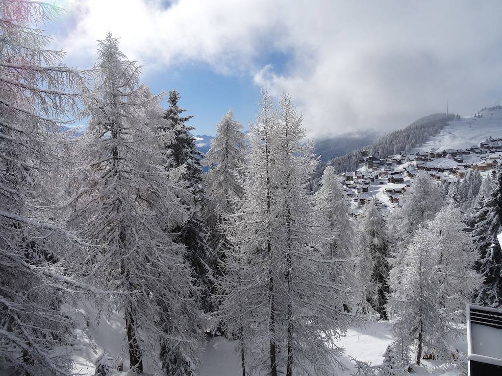 Am Waldrand im Chalet Tilly in Betten, Aletsch Arena