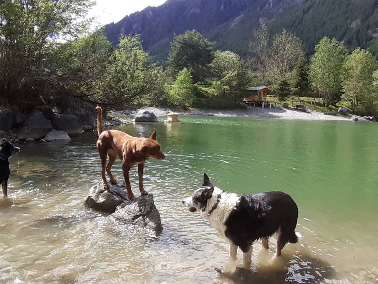Ganze Ferienwohnung, Abseits  -  Urlaub mit Hund - Ferienwohnung Abseits in Pfunds, Tiroler Oberland