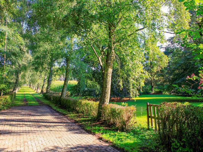Ferienhaus für 7 Personen, mit Sauna und Terrasse sowie Garten in Sundhagen - 4