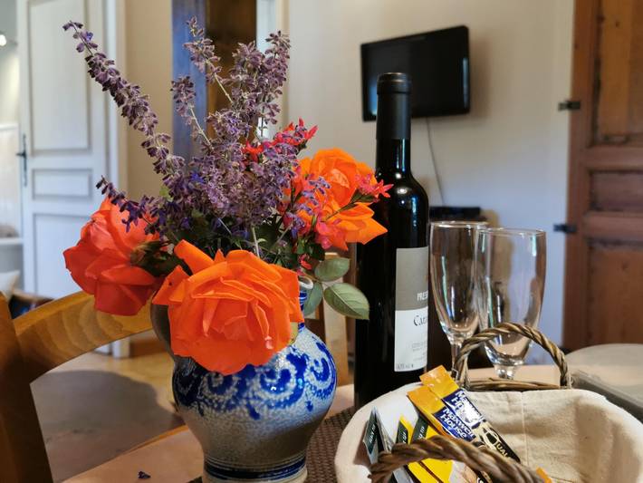 Gîte für 2 Personen, mit Terrasse, mit Haustier in Languedoc-Roussillon - 3