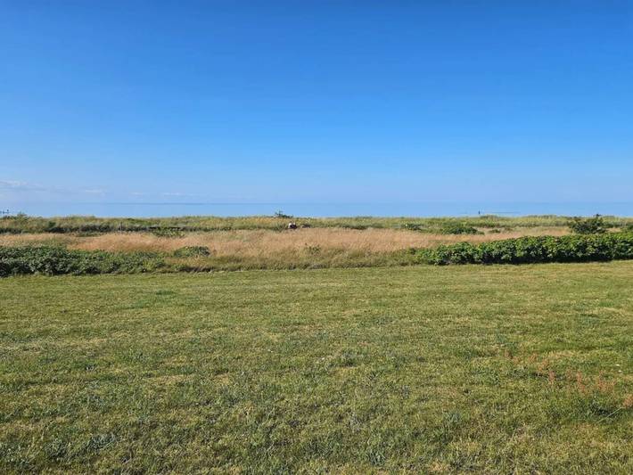 Ferienhaus für 4 Personen, mit Terrasse, mit Haustier in Djursland - 3