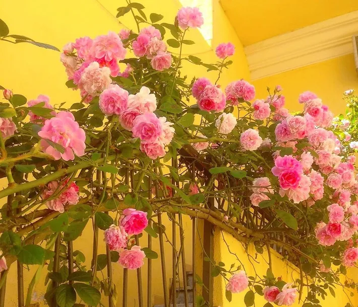 Bed and breakfast per 3 persone, con panorama - 1