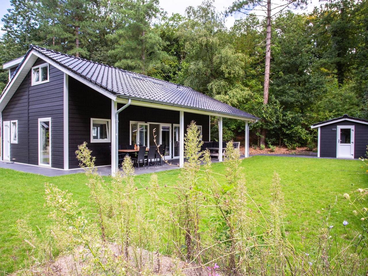 De Thijmse Berg in Rhenen, Provincie Utrecht