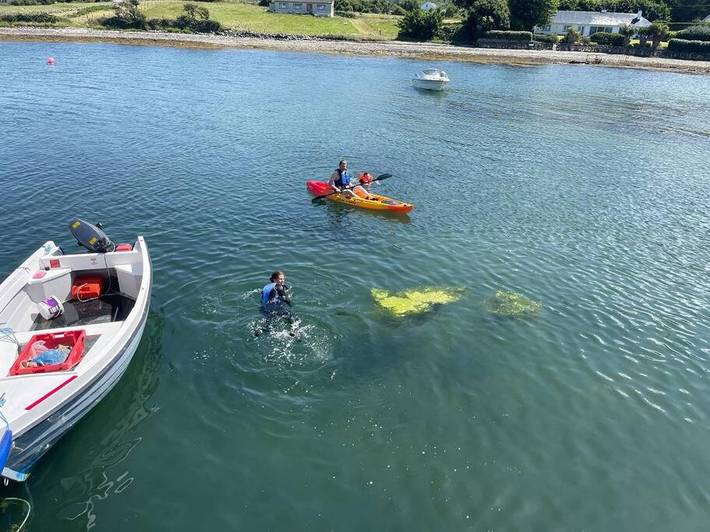 Gîte pour 6 personnes à Westport - 2