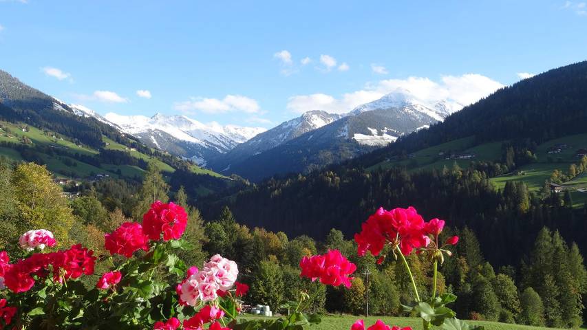 Gîte pour 6 personnes, avec balcon et jardin à Alpbach - 2