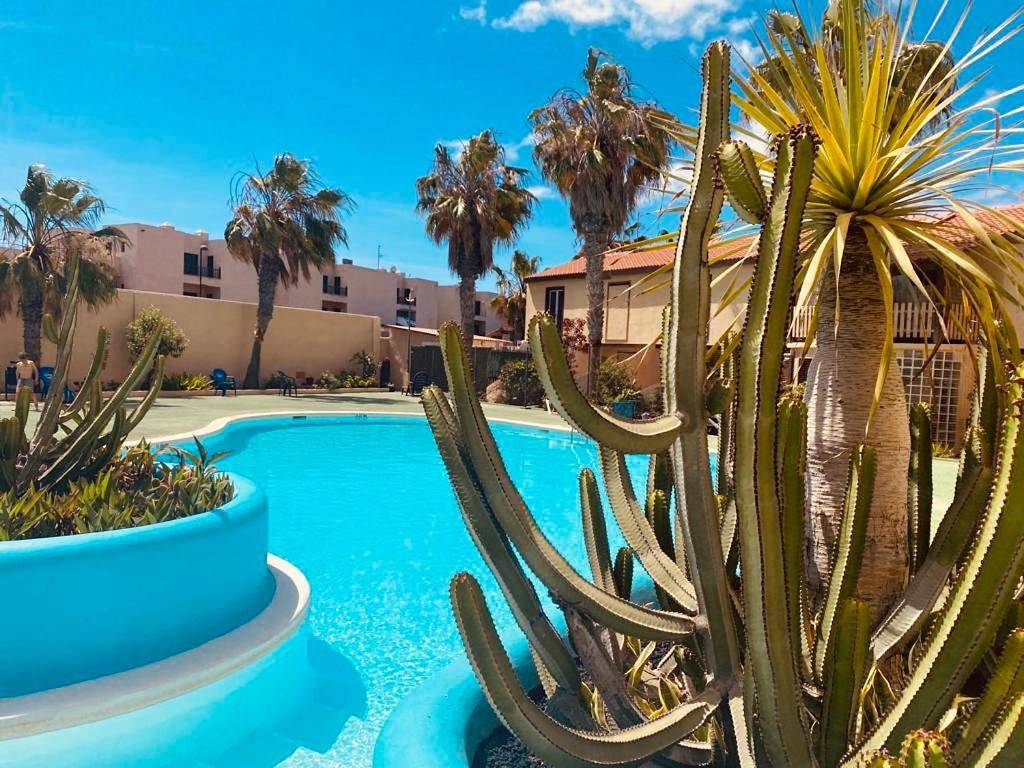 Ganze Wohnung, One-Bedroom Apartment in El Jablito, La Oliva