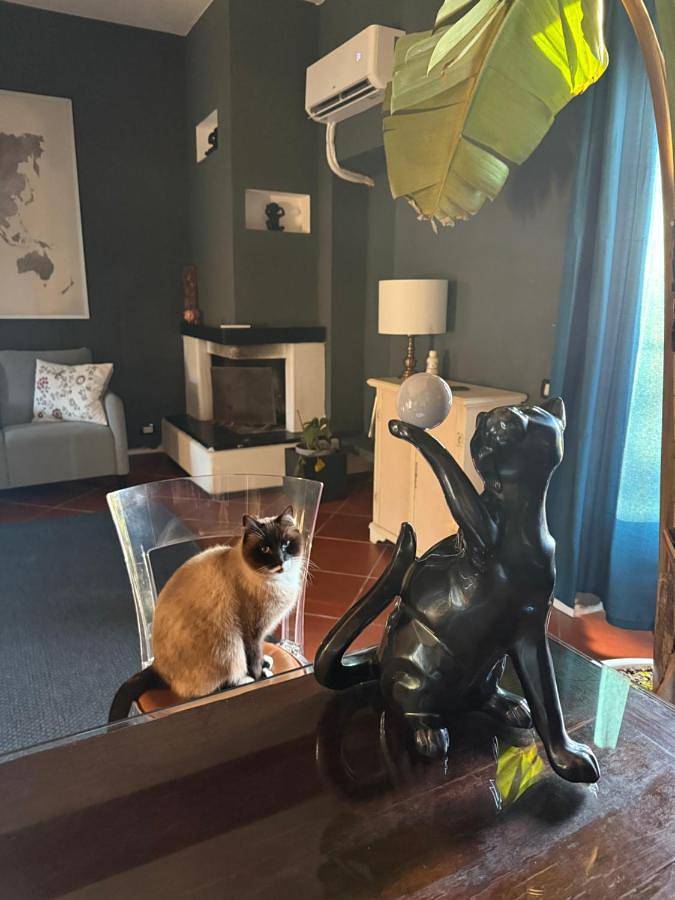 Chambre d’hôte pour 2 personnes, avec jardin ainsi que piscine et jacuzzi à Massarosa - 4