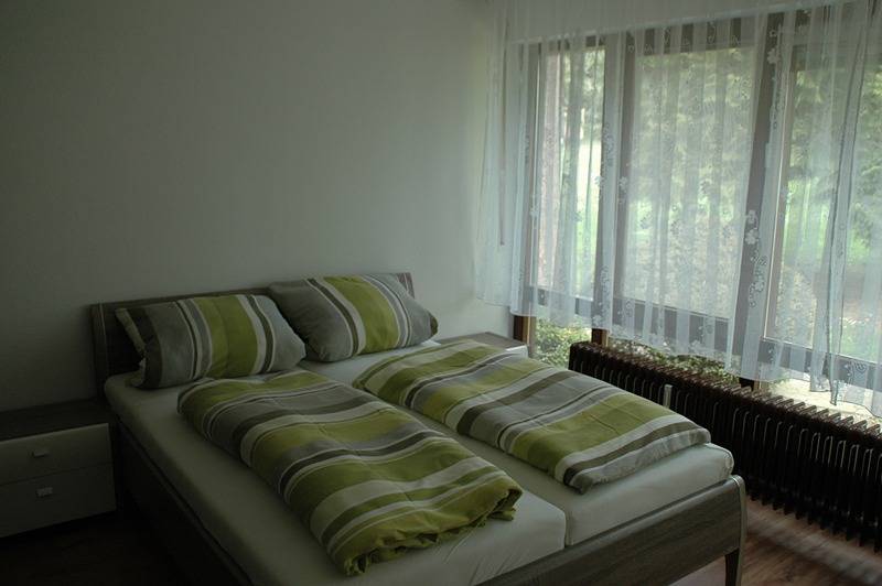 Ganze Ferienwohnung, Ferienwohnungen Fetscher - 1-Zimmer-Fewo 2, Parterre, 24 m² in Reichenau, Untersee