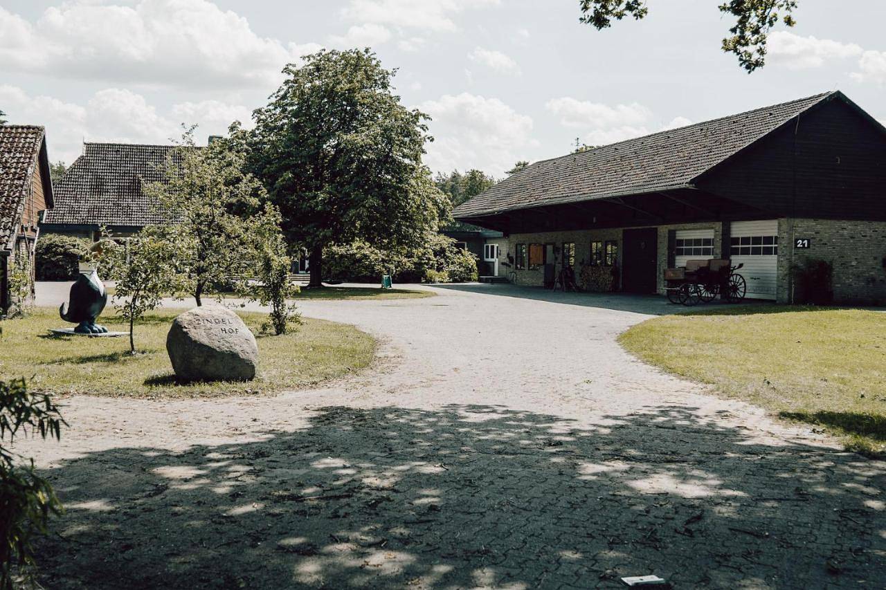 Ganze Wohnung, Luxus-Loft im Naturidyll mit Kamin und Garten in Rodewald, Aller-Leine-Tal