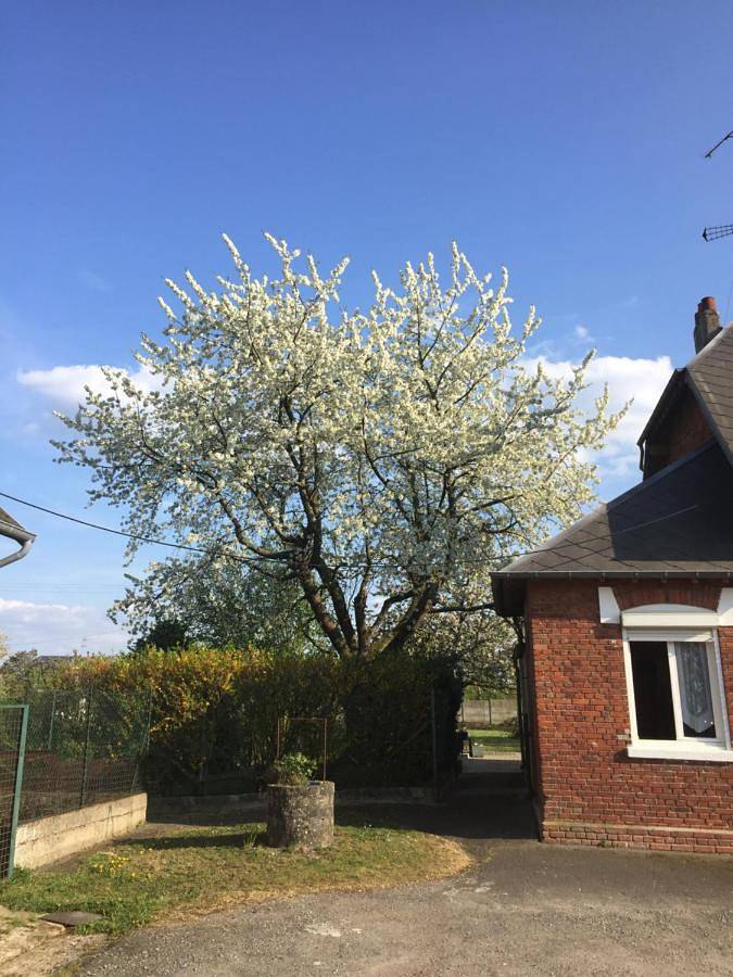 Maison d’hôte pour 8 personnes, avec jardin