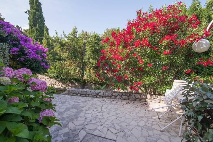Ganze Wohnung, Villa Branka B in Veli Losinj, Lošinj (Kvarner Bucht)