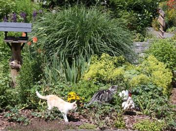 Hotel für 4 Personen in Herbstein, Vogelsberg Region, Bild 4
