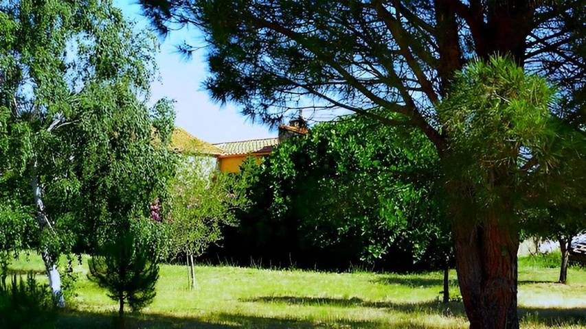 Chambre d’hôte pour 2 personnes, avec jardin dans les Pyrénées-Orientales - 4