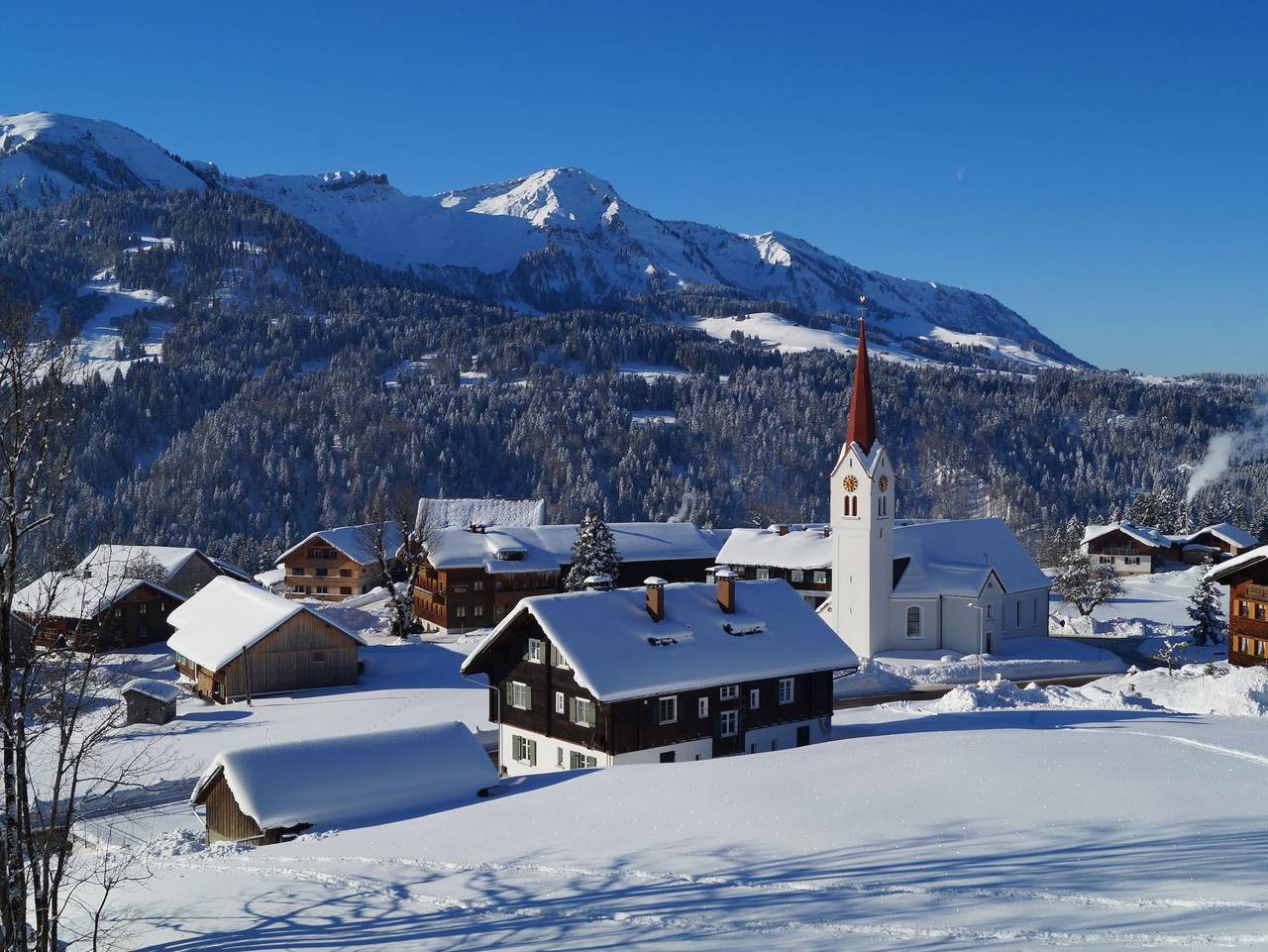 Ganze Ferienwohnung, Ferienwohnung Nußbaumer - Ferienwohnung Alpenblick in Sibratsgfäll, Bregenzerwald