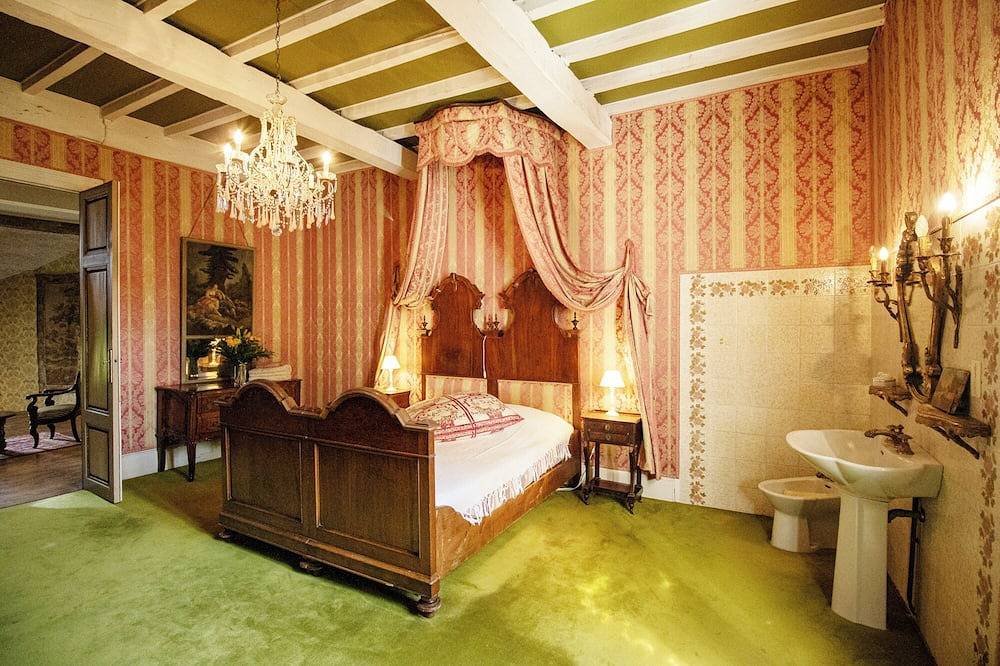 Vintage french mansion + swimming pool into a fenced park close to the river in Nérac, Nérac region
