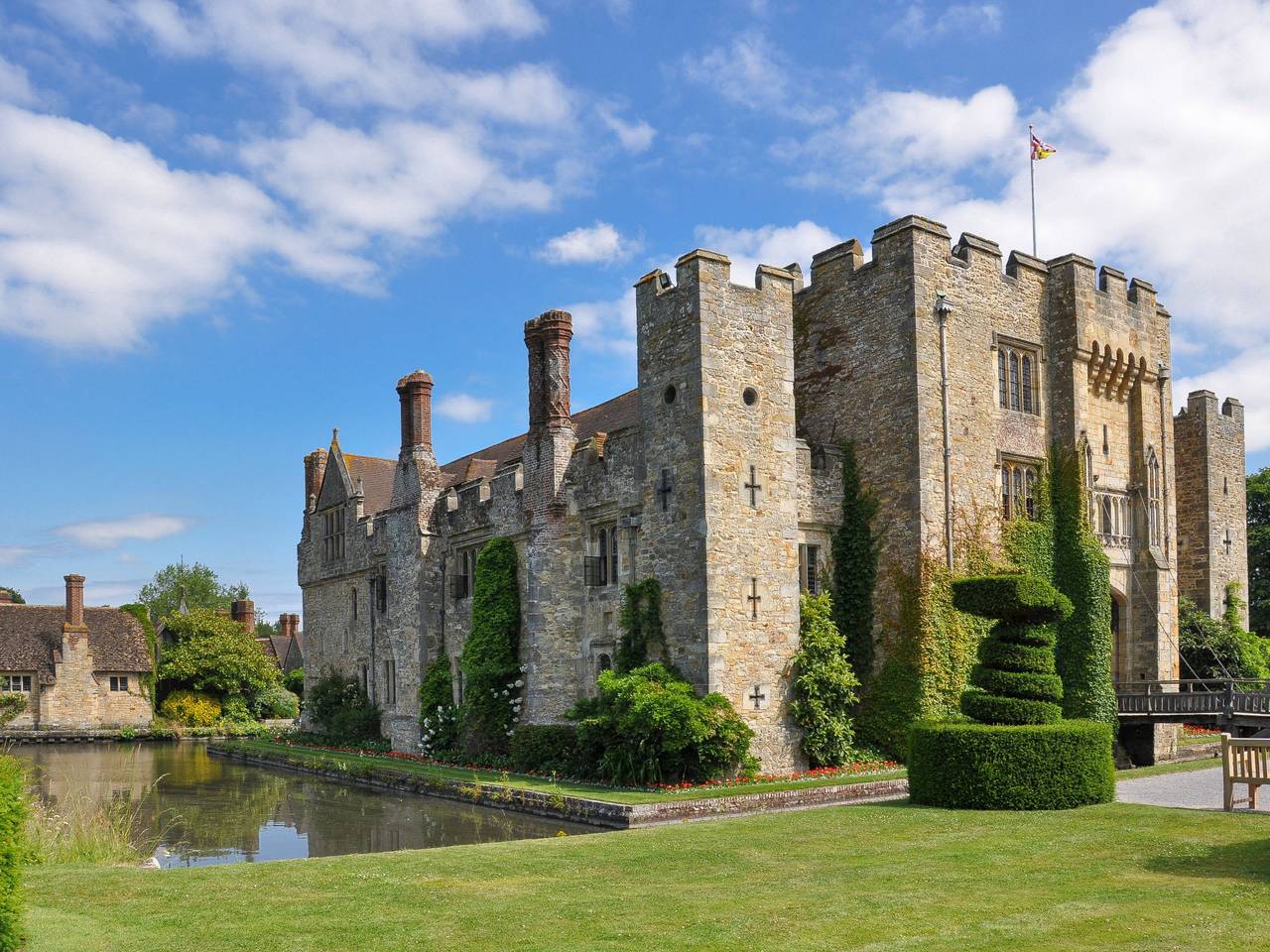 Bracken in Dormansland, Surrey
