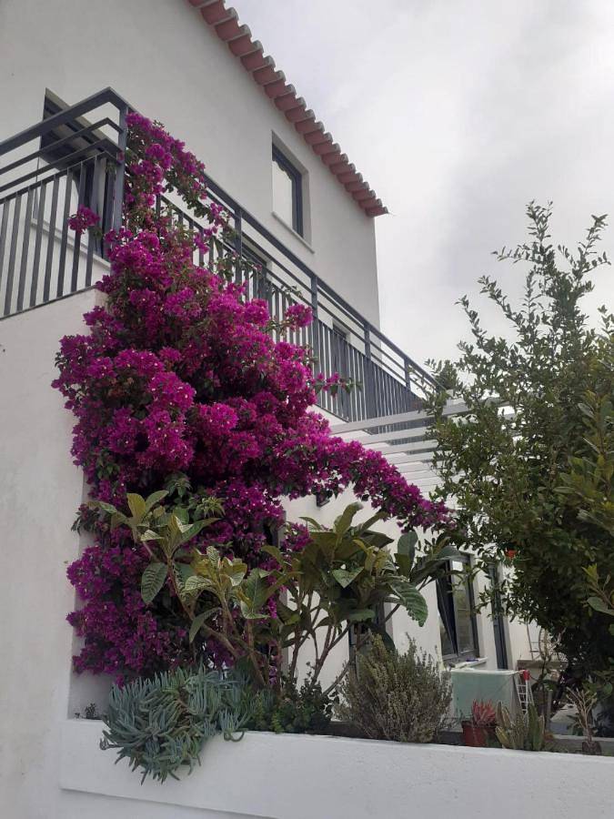 Zenergy - Guest House in Odeceixe, Costa Alentejana