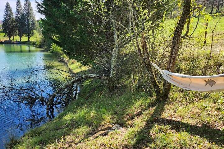 Gîte pour 2 personnes, animaux acceptés à Moulayrès - 4