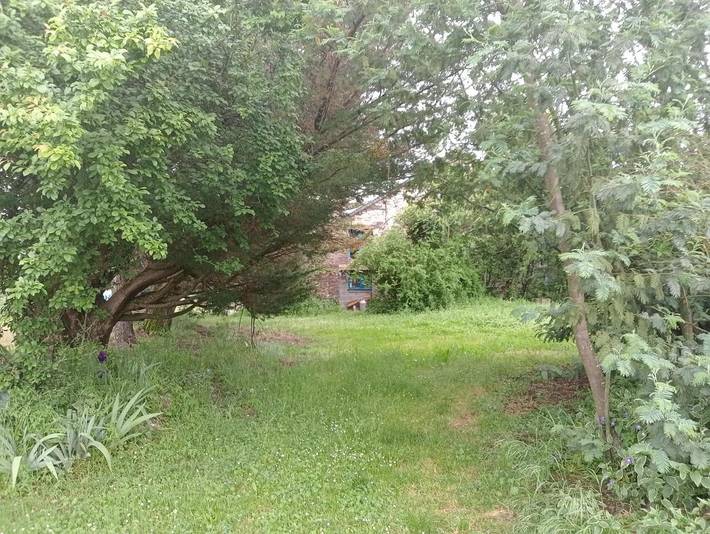 Gîte pour 3 personnes, avec vue ainsi que piscine et jardin à Sainte-Anne-sur-Vilaine - 3