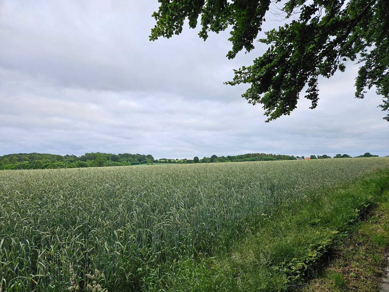 6 Personen Ferienhaus in Hejls in Hejls, Kleiner Belt