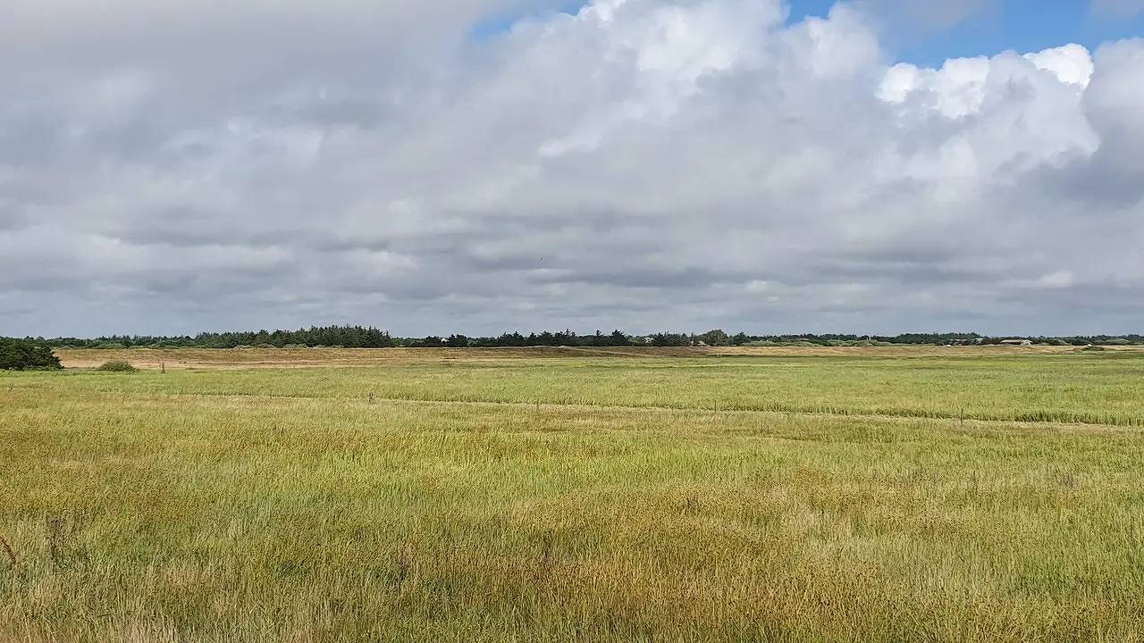 Ferienhaus für 4 Personen (75 m²) in Blåvand in Blavand, Varde Region