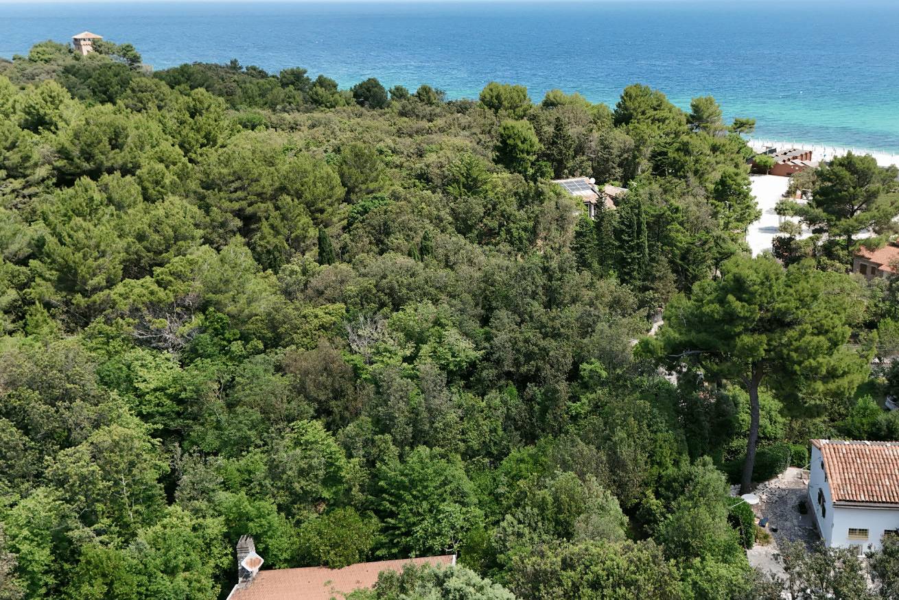 Ganze Wohnung, The Villa - Portonovo, an exclusive villa close to the sea in Monte Conero, Ancona