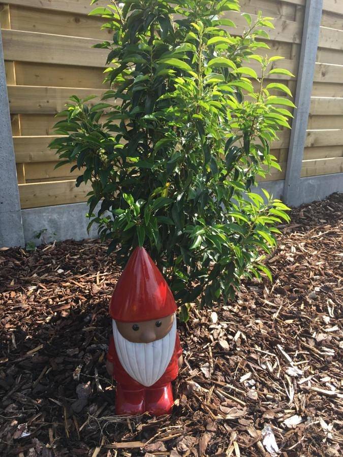 Location de vacances pour 4 personnes, avec jardin et vue dans Watou - 3