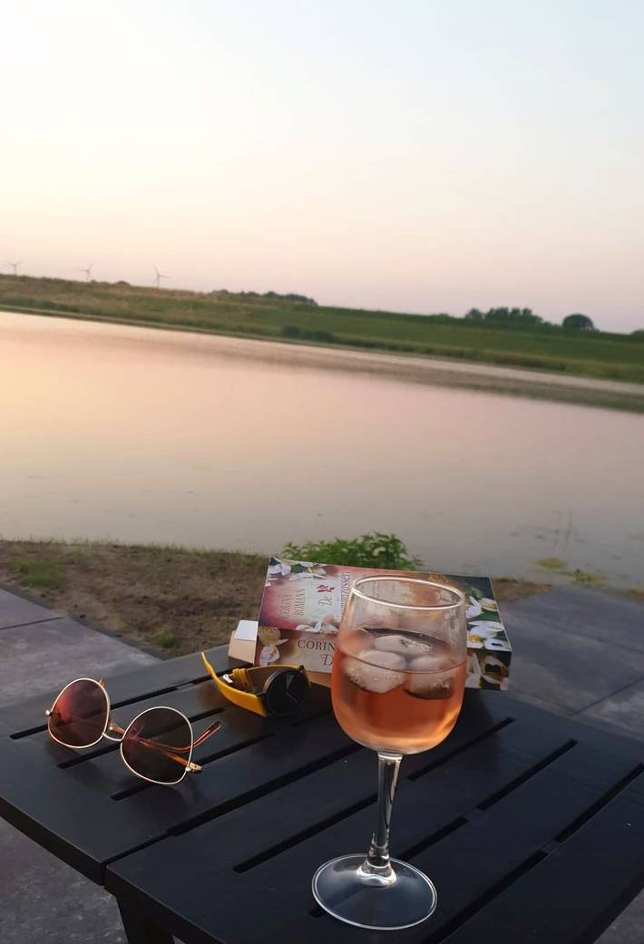 Ferienhaus für 6 Personen, mit Seeblick und Garten, mit Haustier in Overijssel - 2