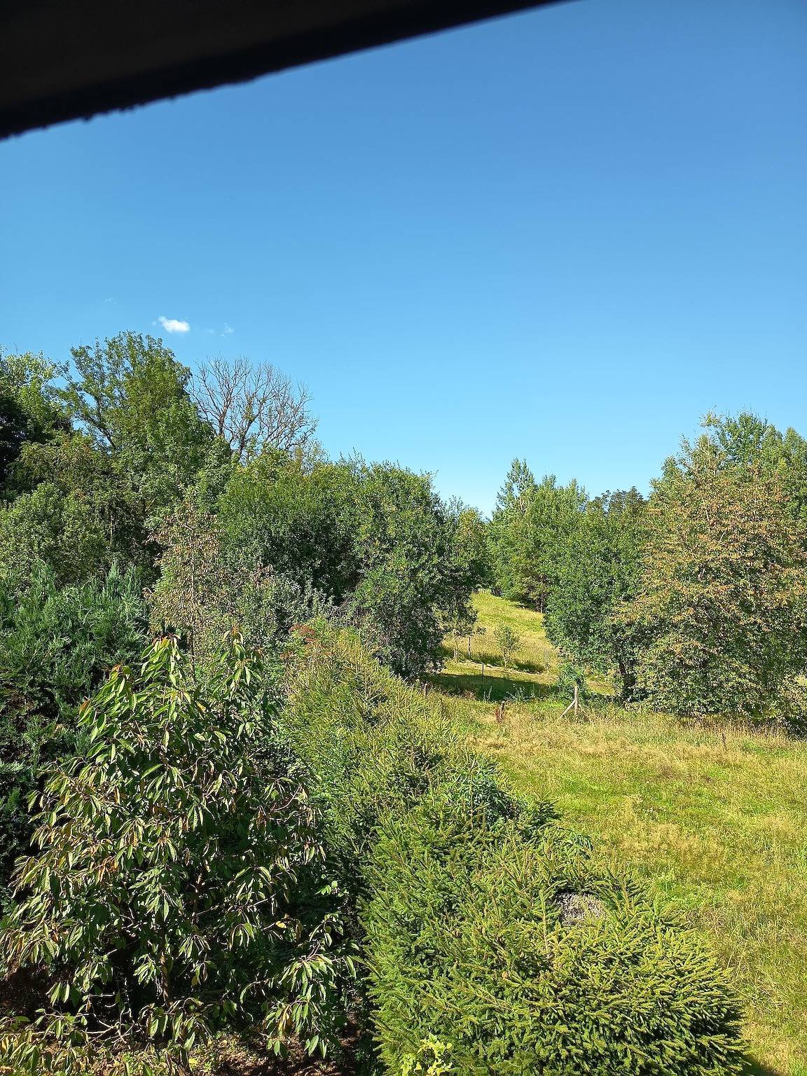 Ganze Ferienwohnung, Ferienwohnung mit Herz - Zierold in Eibenstock, Erzgebirge