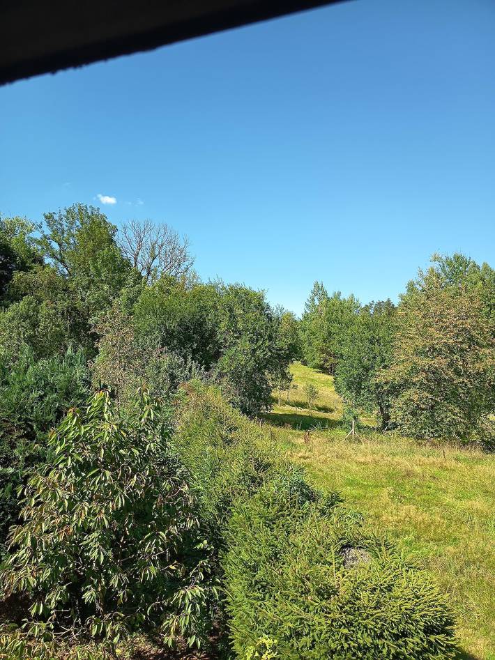Ferienwohnung für 4 Personen, mit Balkon und Terrasse sowie Garten und Pool in Eibenstock - 3