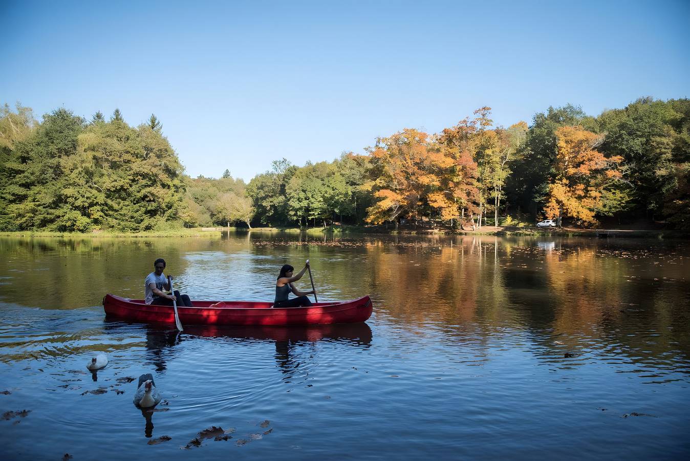 La Cabane Zen – Escapade unique perchée à 8m dans la forêt, pont suspendu, terrasse et activités in Angoisse (Dordogne), Périgord Vert