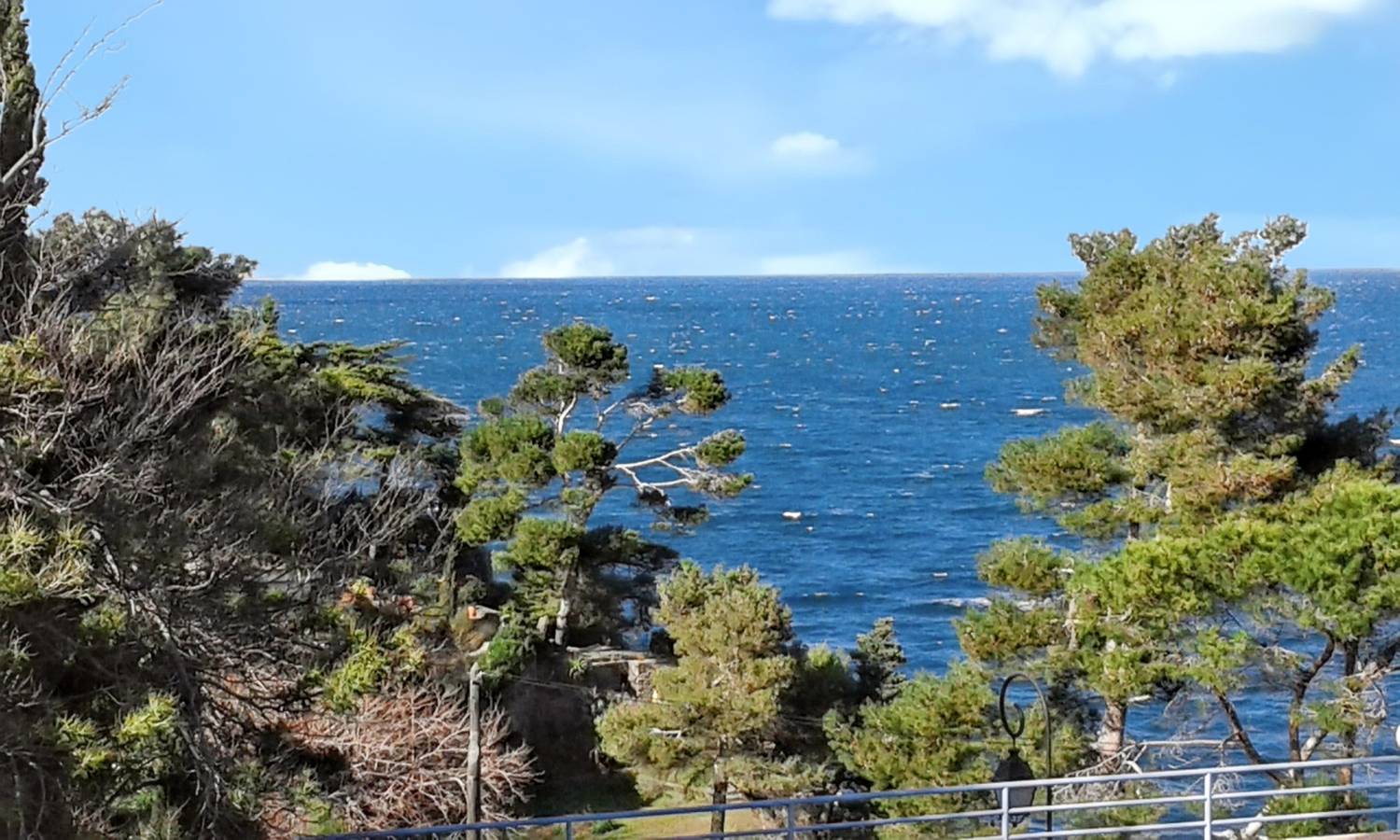 Estudio entero, Estudio con Vista al Mar en Collioure - 27 m² - Aparcamiento Incluido in La Côte Vermeille, Colliure