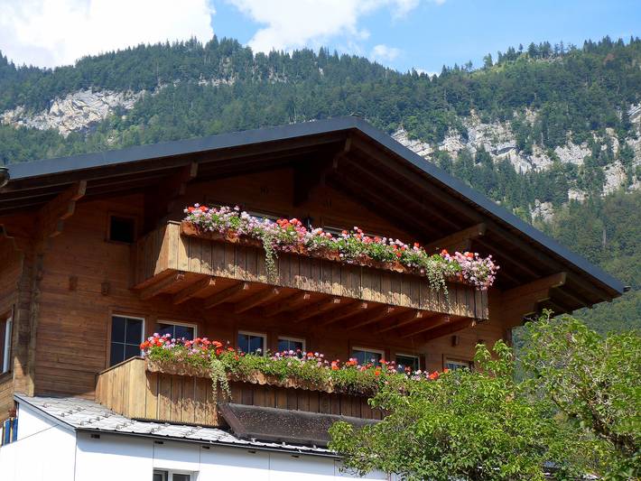 Gîte pour 4 personnes, avec Balcon et Vue à Brienzwiler