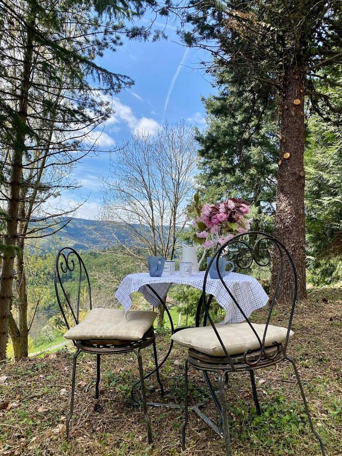 Location de vacances pour 6 personnes, avec Terrasse ainsi que Jardin et Vue à Rochepaule - 3