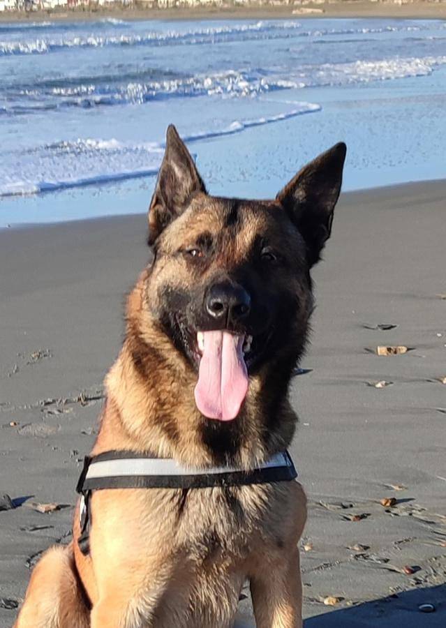 Camping pour 4 personnes, avec terrasse et vue, animaux acceptés