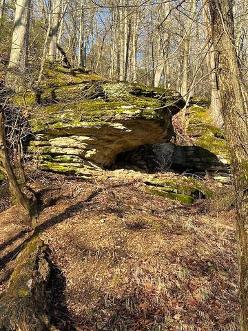 Vacation House for 12 Guests in Beaver Lake, Ozark Mountains, Picture 2