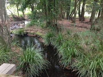 Chalet für 14 Personen in New South Wales, Bild 3
