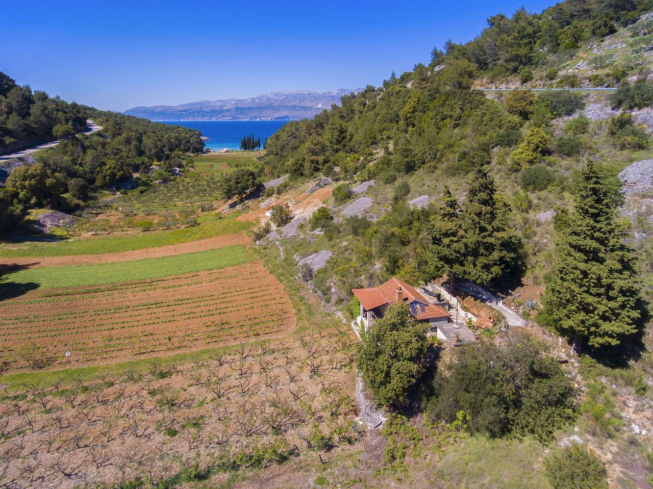 House Silvana in Postira, Brac
