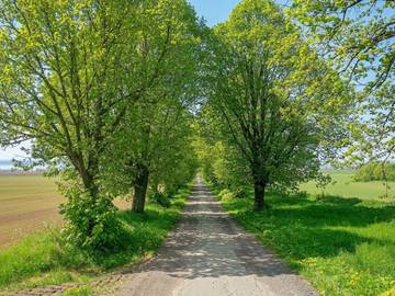 Hus för 8 Personer i Jönköping, Vättern, Bild 2