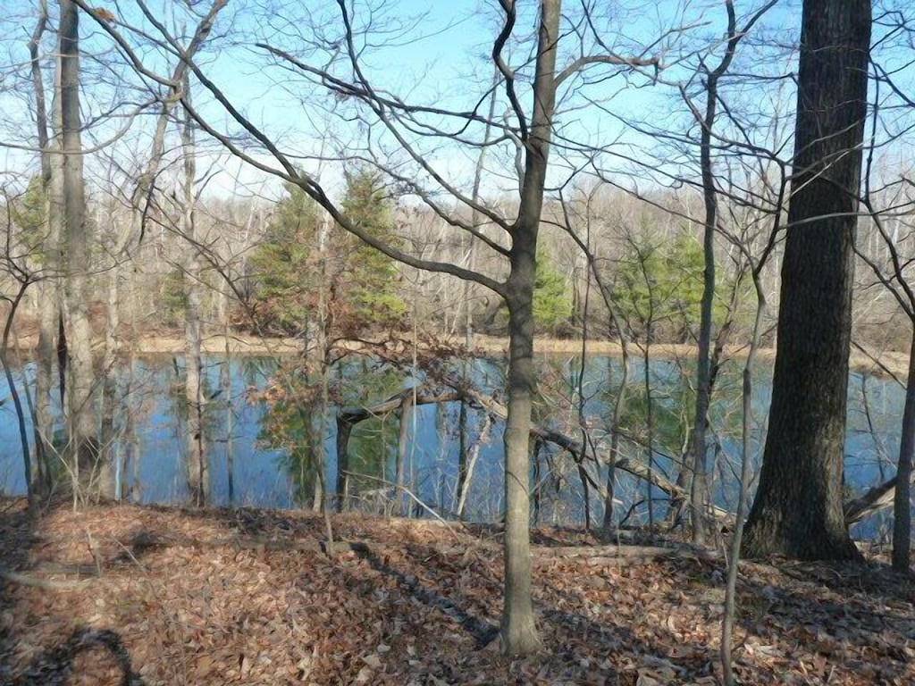 Pine Cabin auf 30 Morgen! 1 mi. vom Carbondale, Il & Siuc Campus in Illinois