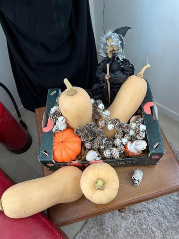 Chambre d’hôte pour 2 personnes, avec vue et jardin dans Parc naturel régional Oise - Pays de France