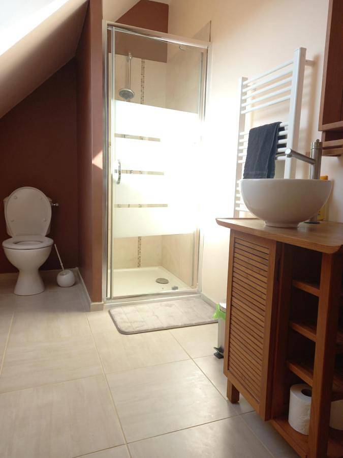 Gîte pour 2 personnes, avec terrasse ainsi que vue et jardin à Parigné-l'Évêque - 3