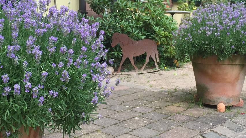 Ferienwohnung für 8 Personen, mit Garten in Klingenmünster - 3