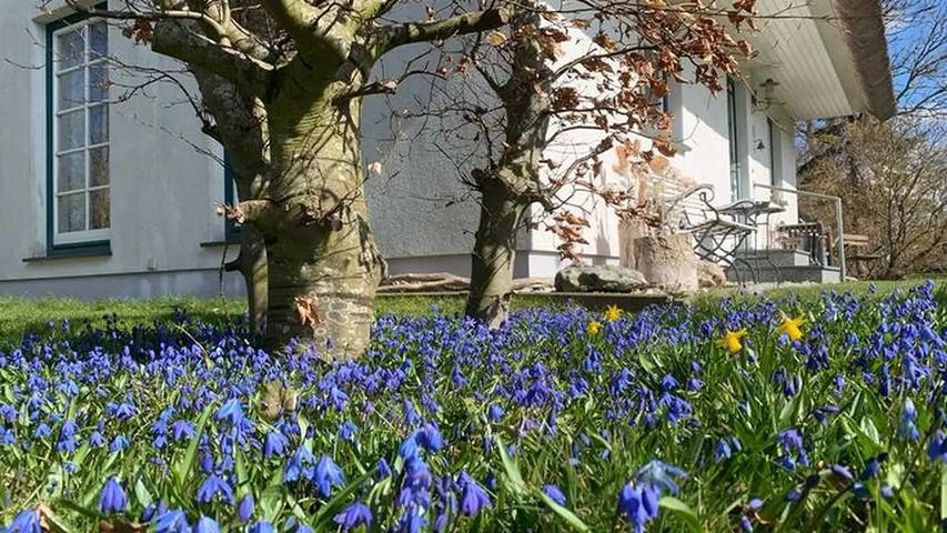 Ferienhaus für 5 Personen, mit Garten, mit Haustier in Dranske - 2