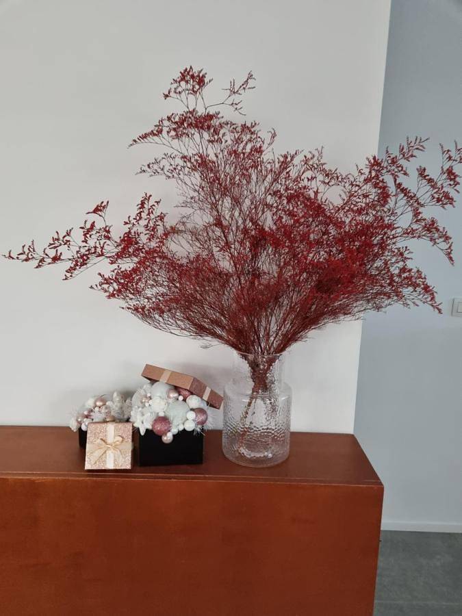 Location de vacances pour 8 personnes, avec jardin dans Lombardsijde - 4