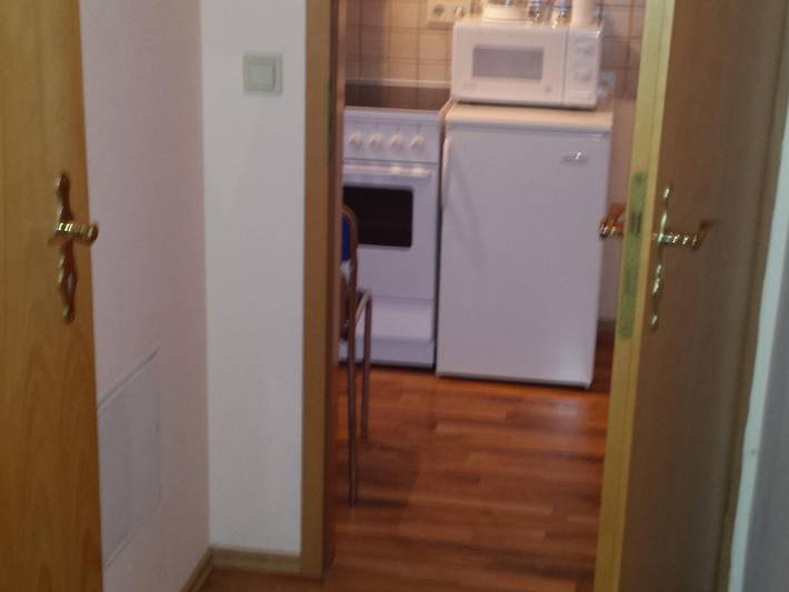 Ferienwohnung für 2 Personen, mit Haustier in Talsperre Pöhl - 4