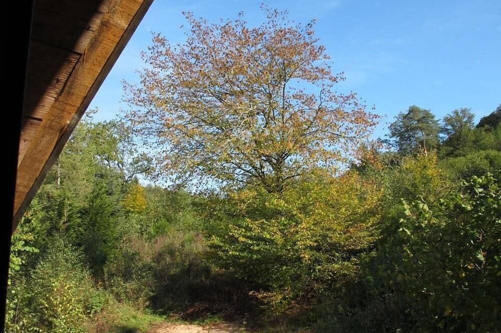 Chalet pour 6 Personnes dans Alligny-en-Morvan, Parc naturel régional du Morvan