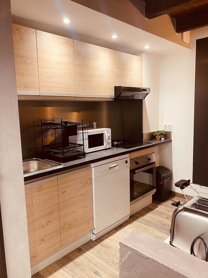 Gîte pour 3 personnes, avec terrasse dans Boulay-Moselle - 4